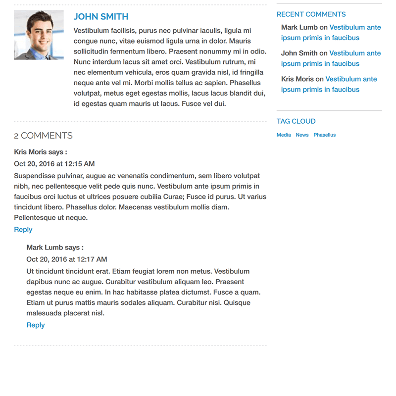 Blog - Disqus Comments on Frontend