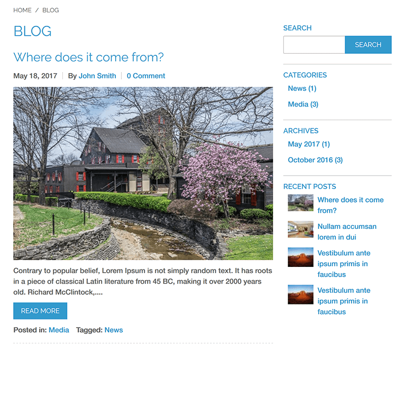 Blog - Latest Posts on Homepage