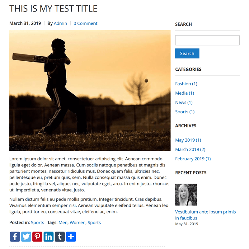 Blog Post Detail View