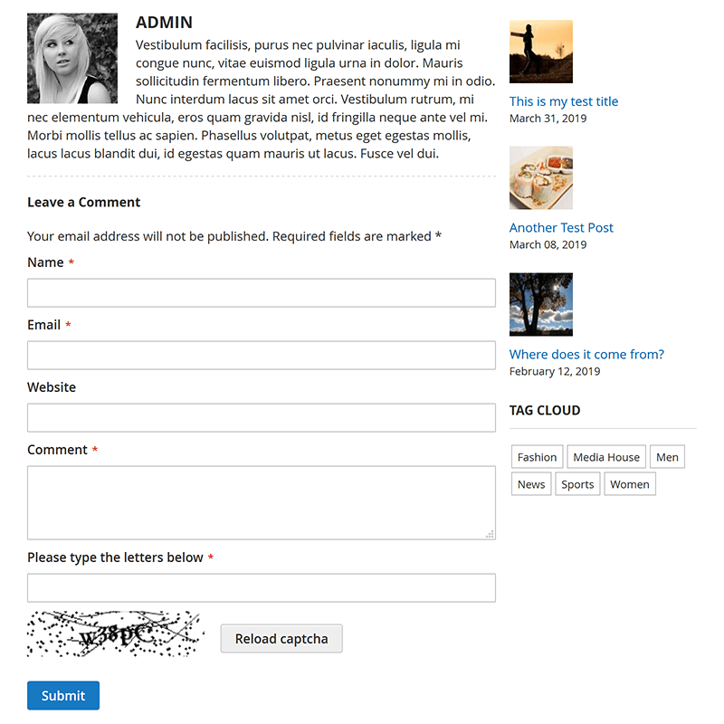 Blog Post Detail View