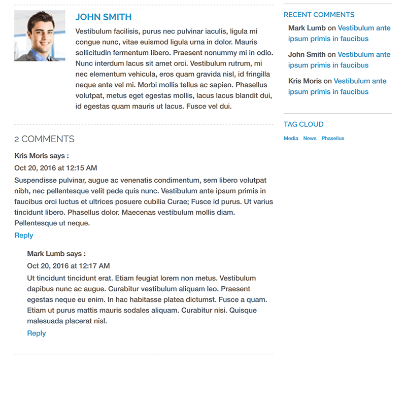 Blog - Disqus Comments on Frontend