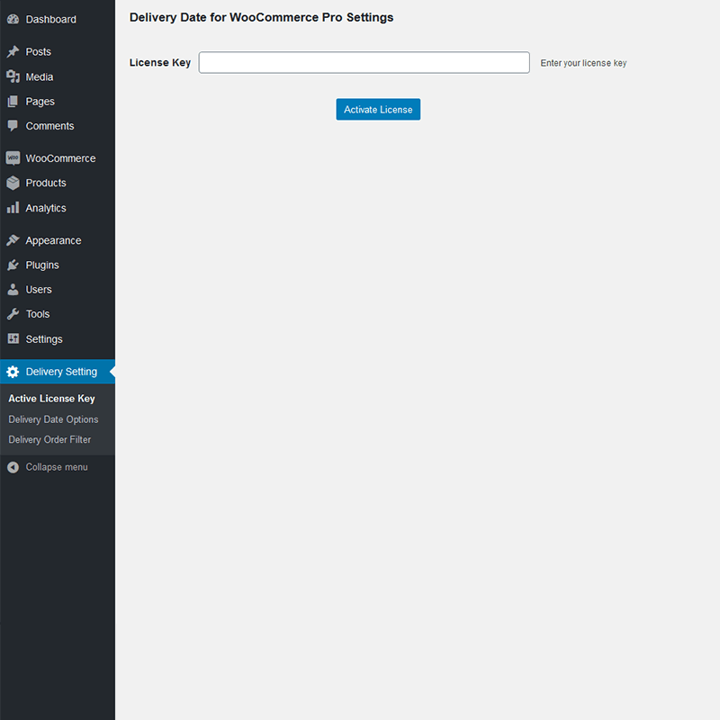 Active License Key