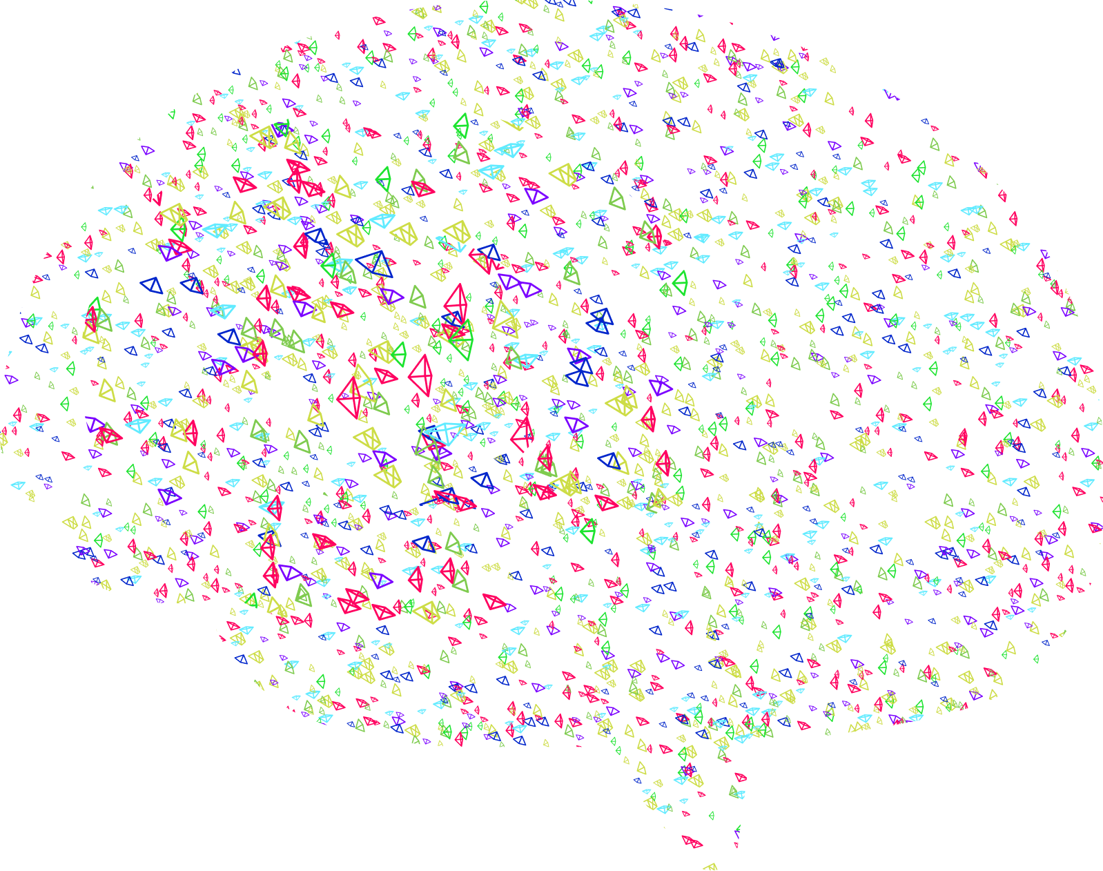 Brain