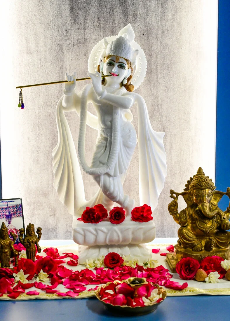 Pixlogix Office image